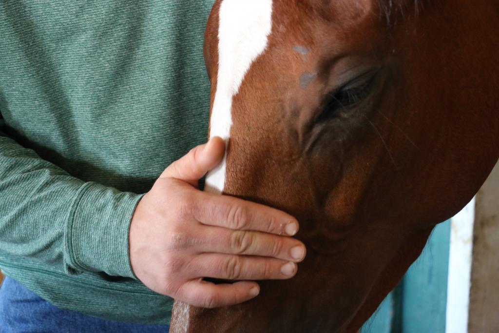 Saying hello.  (Julie June Stewart photo) 